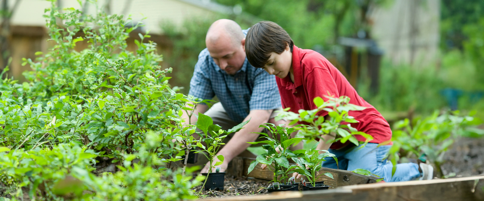 Kid Gardening with Dad