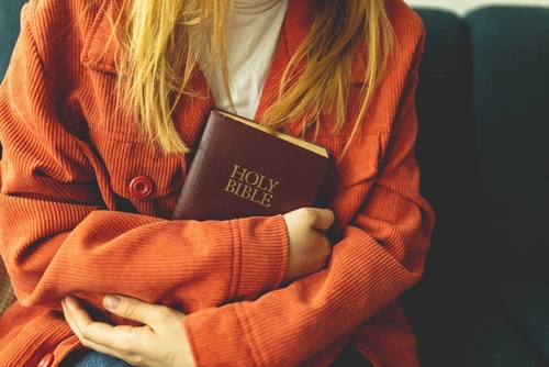 The Bible Recap - Women's Bible Study (Heights)